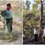 pennsylvania-teacher-ronald-sakolskys-5000-donation-helps-transform-chinas-desert-into-a-forest-of-5.avif
