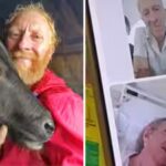 peter-van-geit-recounts-his-six-year-legal-battle-in-an-instagram-post.jpg