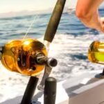 rare-warm-water-fish-are-suddenly-showing-up-off-southern-california.jpg
