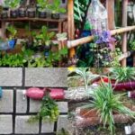 recycle-empty-plastic-bottles-for-your-home-garden.jpg