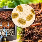 scientists-are-using-worms-that-eat-human-waste-to-turn-toilet-waste-into-compost-but-parasitic-eggs.avif