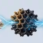 scientists-find-a-surprising-way-to-turn-egg-and-rice-waste-into-a-material-that-can-store-electrici.avif