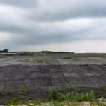 singapore-burns-its-garbage-and-dumps-the-ash-into-the-sea-how-a-350-hectare-island-became-a-wildlif.avif