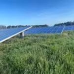 solar-farms-with-taller-grass-wildflowers-and-hedgerows-supported-more-birds-study-recorded-351-per.avif