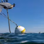the-eco-moorings-used-at-studland-bay-are-designed-to-avoid-that-movement-across-the-seabed-photo-na.avif