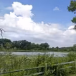 the-restored-wetlands-and-floodplain-will-be-able-to-hold-stormwater-for-longer-periods-and-release.avif