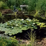 the-transformation-demonstrates-how-even-relatively-small-habitat-projects-can-make-a-difference-whe.avif