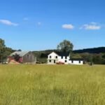 the-yinglings-chose-to-permanently-protect-their-101-acre-property.jpg