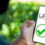 upi.jpg