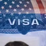 us-ceo-asks-if-us-is-ready-to-deport-foreign-doctors-or-ai-engineers-through-the-elimination-of-the.avif