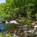 west-virginia-family-donates-47-acres-to-expand-audra-state-park.jpg