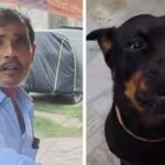 why-this-jaipur-kulfi-seller-is-making-special-sugar-free-kulfi-just-for-dogs.jpg