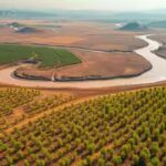 yellow-river-reforestation-effort.jpg