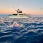 a-70-year-old-woman-swam-20-miles-across-californias-catalina-channel-after-her-brother-received-a-k.avif