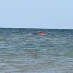 a-boat-carrying-migrants-capsized-while-sailing-from-djibouti-to-yemen.jpg