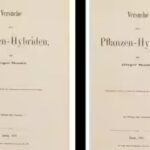 a-monk-printed-40-copies-of-his-pea-plant-research-which-sold-for-rs-610-crore-in-2026.jpg