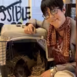 a-pig-became-famous-after-running-through-hollywood-oscar-nominated-songwriter-diane-warren-won-him.avif