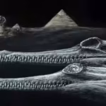 according-to-a-report-published-by-phys-org-the-fossils-were-originally-recovered-during-the-1920s-f.avif