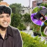 aman-sharmas-delhi-terrace-has-more-than-500-plants-and-attracts-diverse-wildlife.jpg