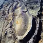 archaeologists-collect-deep-soil-samples-from-turkeys-mount-ararat-site-in-the-search-for-noahs-ark.avif