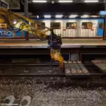 australia-began-turning-waste-plastic-into-railway-sleepers-in-2015-saving-timber-the-recycled-mater.avif