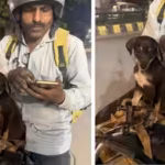 blinkit-delivery-riders-rescue-injured-puppy-after-road-accident-give-it-a-home-at-warehouse-interne.avif