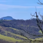 buffalo-mountains-new-conservation-area-offers-scenic-landscapes-protected-forests-and-outdoor-exper.avif
