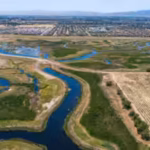california-restored-former-grazing-land-at-dutch-slough-into-tidal-marsh-between-2020-and-2025-marsh.avif
