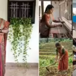 chennai-activist-premas-trust-is-helping-abandoned-women-widows-and-cancer-patients-find-support-ima.avif