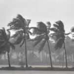 cyclone-arnab-schools-shut-in-tamil-nadu-districts-puducherry-and-karaikal-on-october-26.jpg