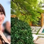 dakota-johnson.jpg