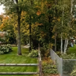 dalys-built-a-chain-link-fence-in-2006-while-rileys-installed-their-own-fence-about-two-feet-away-in.avif