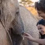 demi-moore-and-ashton-kutcher-once-visited-a-kenyan-elephant-sanctuary-where-orphaned-calves-were-be.avif