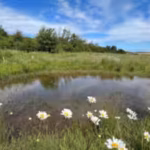 england-put-25-million-into-20-nature-projects-in-2024-two-years-later-they-had-improved-4800-hectar.avif