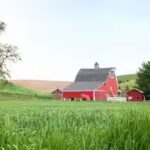 farmland.jpg