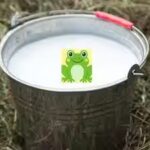 frog-in-the-milk.jpg