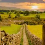 how-farmers-helped-bring-wildlife-back-to-southern-england.jpg