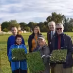 hundreds-of-native-wildflowers-planted-at-a-norfolk-recreation-ground-to-create-a-meadow-for-bees-bu.avif