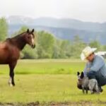 hutchinson-ranchhutchinson-ranch.jpg