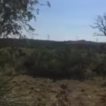 in-1858-a-texas-family-began-holding-ranchland-that-developers-later-wanted-for-3500-houses-in-2016.avif