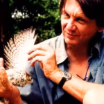 in-1974-just-four-mauritius-kestrels-remained-in-the-wild-then-carl-jones-brought-the-bird-back-from.avif