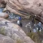 in-2006-grand-canyon-began-a-major-trout-reduction-effort-in-bright-angel-creek-after-invasive-brown.avif
