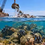 in-2018-delaware-turned-nearly-990000-tons-of-rock-excavated-from-a-shipping-channel-into-artificial.avif