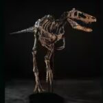 jodi-the-dinosaur.jpg