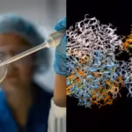 looking-at-the-evolution-of-antimicrobial-defenses-the-researchers-were-able-to-pinpoint-structural.avif