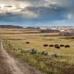 montana-conservation-group-bought-70000-acre-ranch-once-owned-by-texas-billionaires-expanding-planne.avif