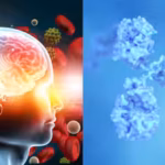 northwestern-scientists-found-a-hydrophobic-tau-protein-hotspot-where-water-molecules-help-trigger-i.avif