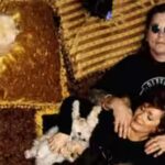 ozzy-and-sharon-osbourne.jpg