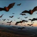paleocene-bat-flight.jpg