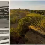part-of-fred-macmurrays-sprawling-1750-acre-california-ranch-the-52-acre-flax-estate-and-vineyard-is.avif